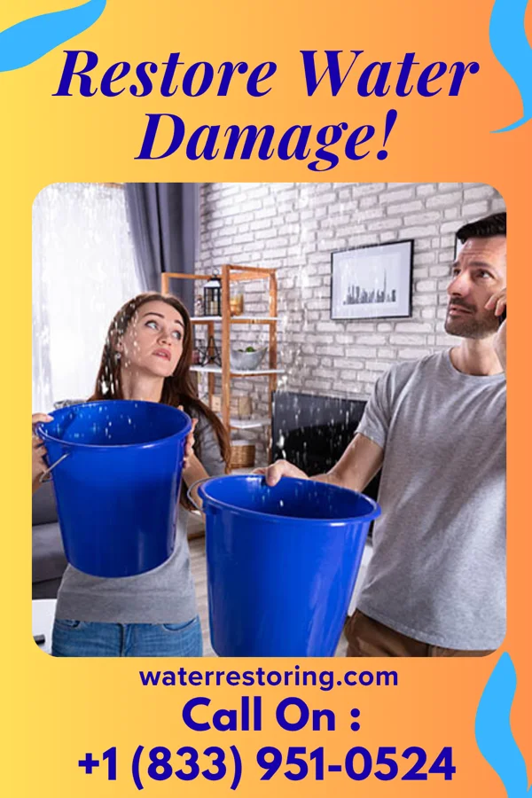 water restoration Reliable Damage Recovery Solutions Watertown