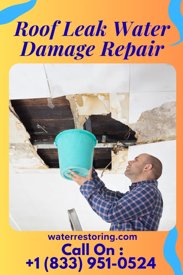 Roof Leak Water Damage Repair in Watertown, WI